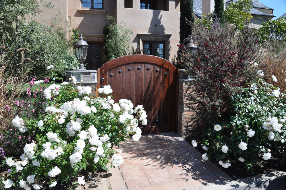 Wood Gate and Roses