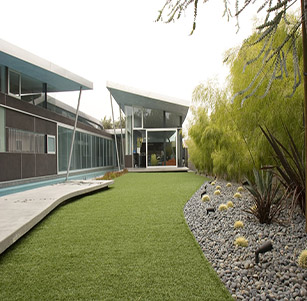 Artificial Turf Examples